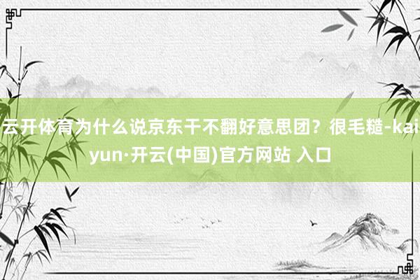 云开体育为什么说京东干不翻好意思团？很毛糙-kaiyun·开云(中国)官方网站 入口